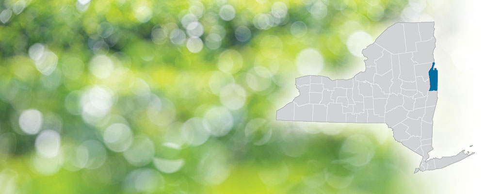 Washington County highlighted on a map of New York State over a green and white bokeh dot background.