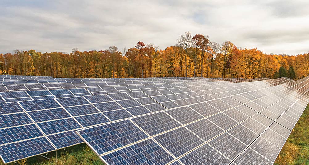 solar panels with trees in the background