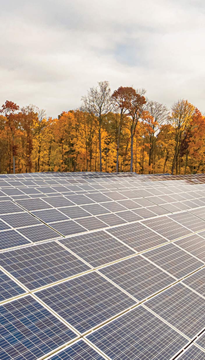 solar panels with trees in the background
