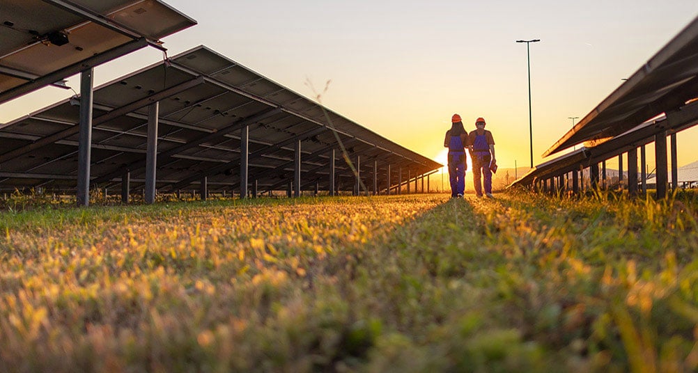 people walking through solar farm