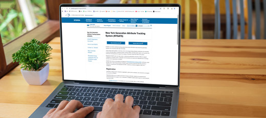 person looking at NYSERD NYGATS web page.