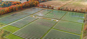 community solar panels