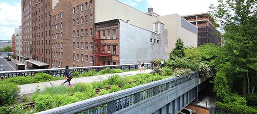 Person walking across pedestrian bridge with plants along the walkway and buildings in the background.