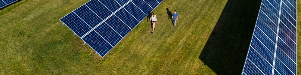 two people walking near a solar farm