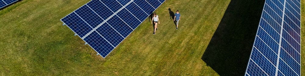 two people walking near a solar farm