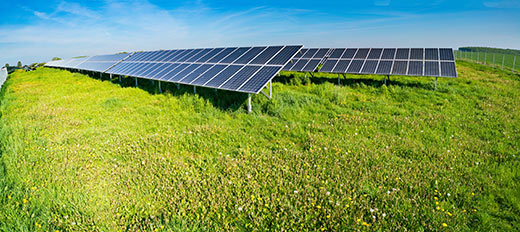 solar farm