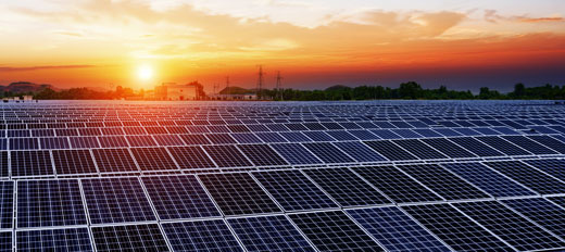 field of solar panels