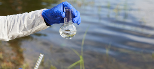 ecosystem beaker