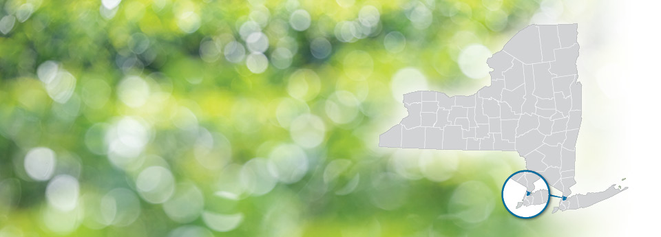 Bronx circled on a grey map of NY State on a green and white bokeh dot background.