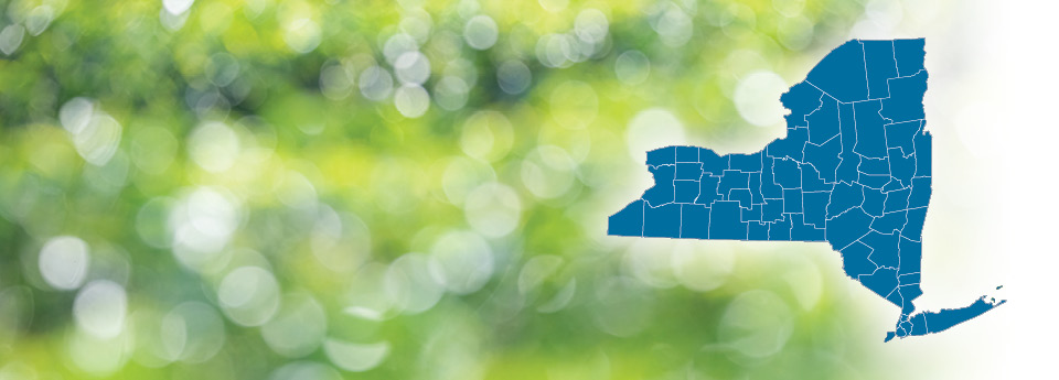 Map of NY State counties on a green and white bokeh dot background.