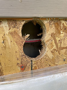 Close up of bore hold in wall cavity from outside.