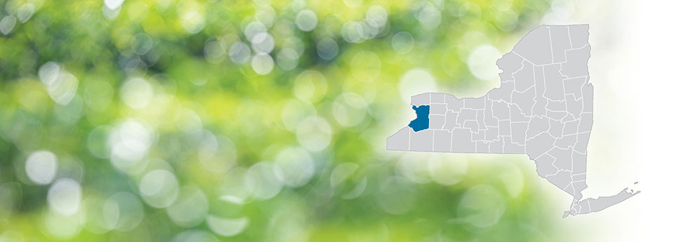 Erie County circled on a grey map of NY State on a green and white bokeh dot background.
