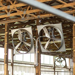 Large metal fans hanging from barn rafters.