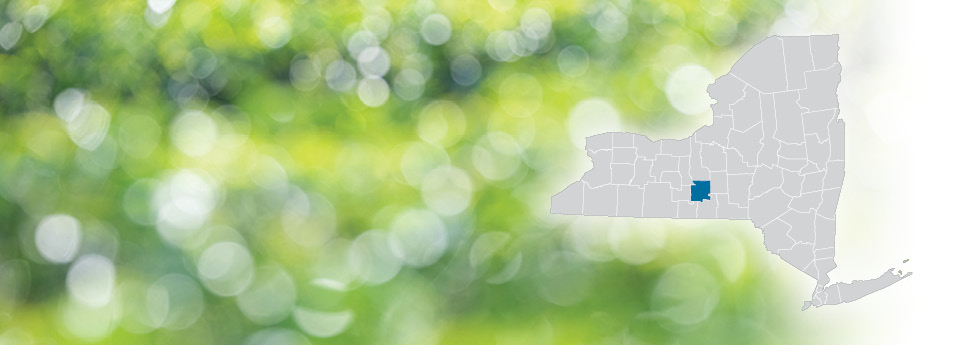 Tompkins County highlighted on a map of NY State on a green and white bokeh dot background.