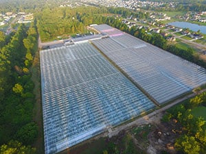 Arial view of Wheatfield Gardens.