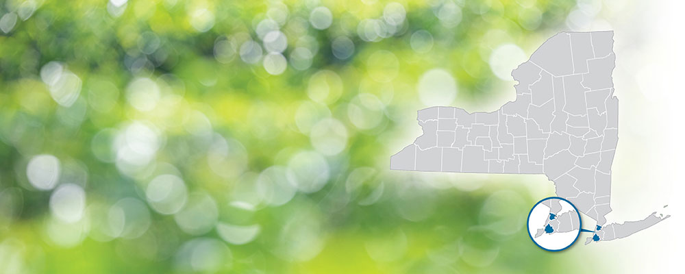 Bronx County and Kings County highlighted on a map of New York State over a green and white bokeh dot background.