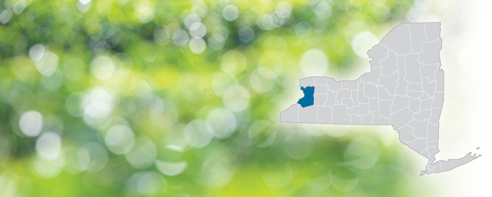 Erie County highlighted on a map of New York State over a green and white bokeh dot background.