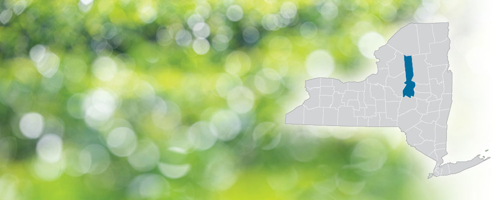 Herkimer County highlighted on a map of New York State over a green and white bokeh dot background.