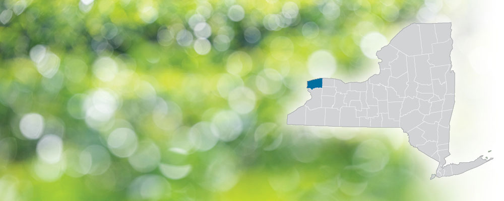 Niagara County highlighted on a map of New York State over a green and white bokeh dot background.