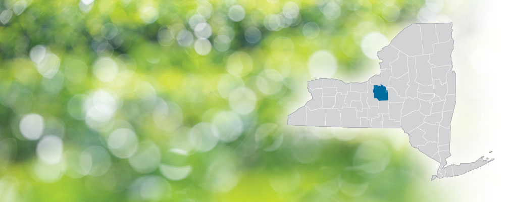 Onondaga County highlighted on a map of New York State over a green and white bokeh dot background.