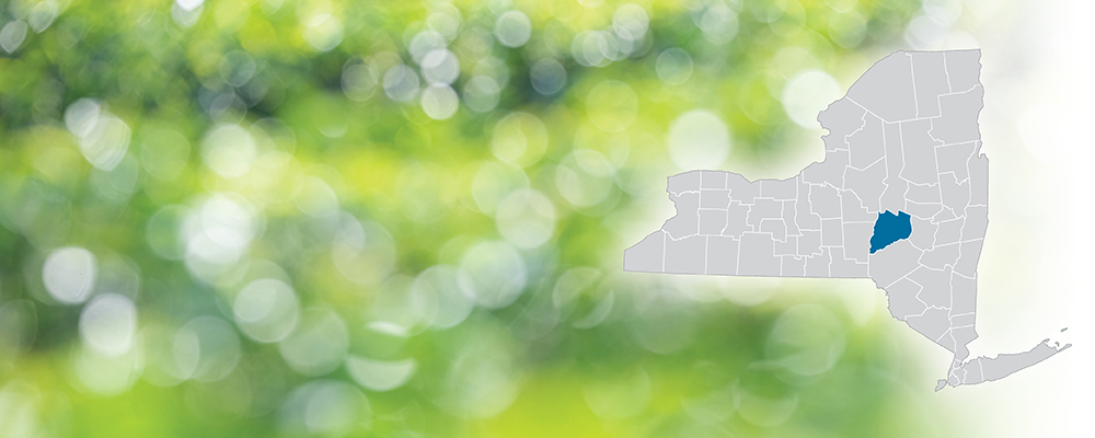 Otsego County highlighted on a map of New York State over a green and white bokeh dot background.