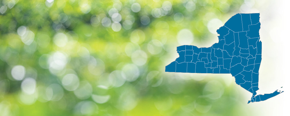 Highlighted on a map of New York State over a green and white bokeh dot background.