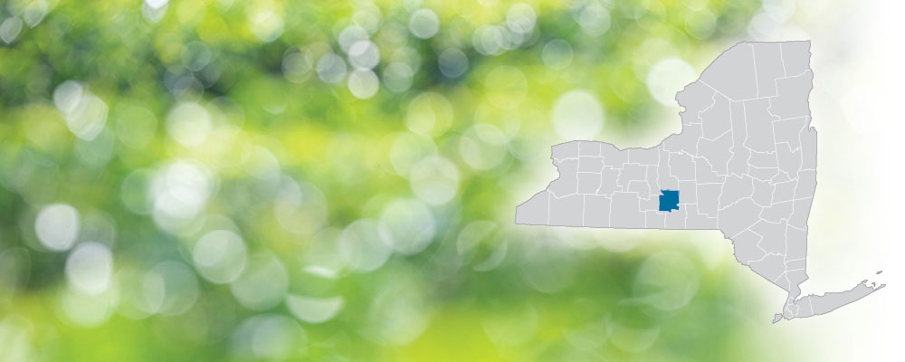 Tompkins County highlighted on a map of New York State over a green and white bokeh dot background.