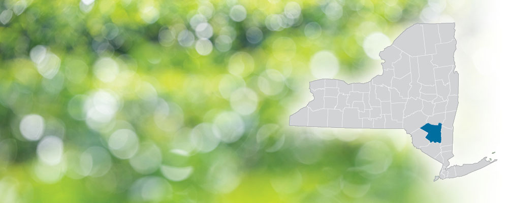 Ulster County highlighted on a map of New York State over a green and white bokeh dot background.