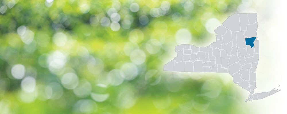 Warren County highlighted on a map of New York State over a green and white bokeh dot background.