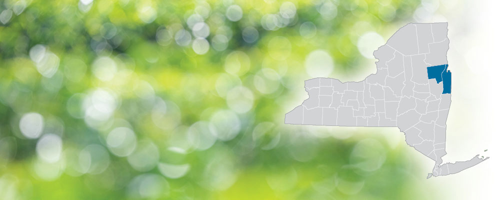 Warren and Washington Counties highlighted on a map of New York State over a green and white bokeh dot background.