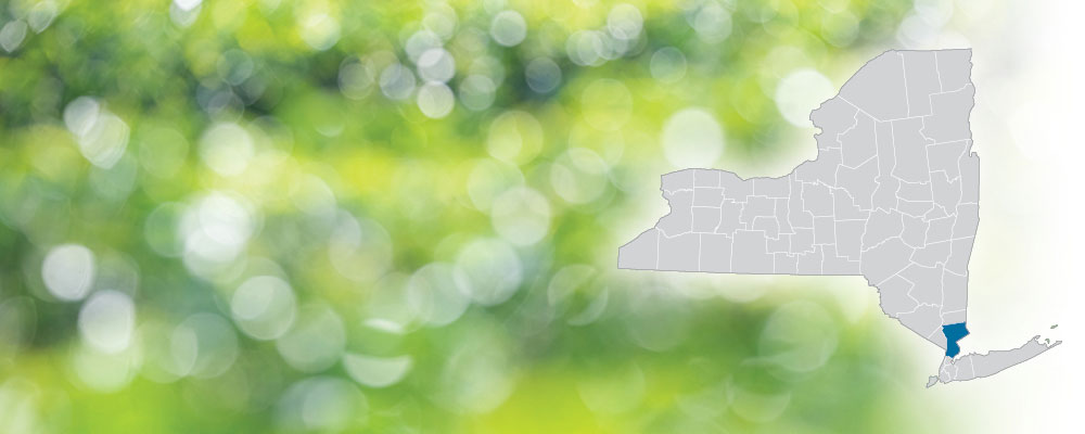 Westchester County highlighted on a map of New York State over a green and white bokeh dot background.
