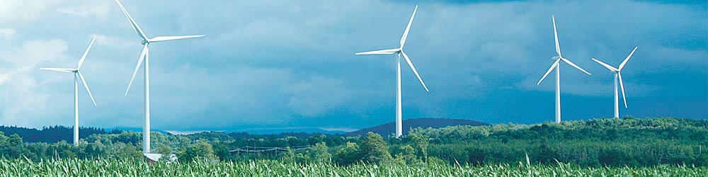 Wind turbines along horizon