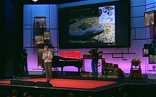 Janine Benyus: Biomimicry in Action - TED Talks Se nu: Janine Benyus, Biomimicry in Action - TED Talks