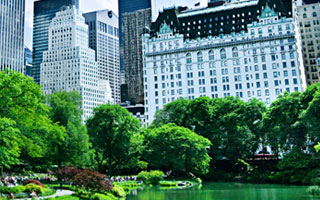 New York Central Park