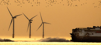 Commercail passenger boat passes three offshore wind turbines at sunset as birds fly overhead